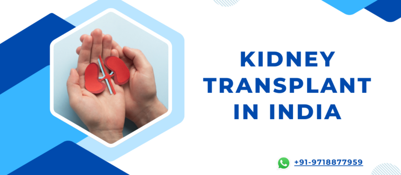 Kidney Transplant in India: A Leading Destination for International Patients